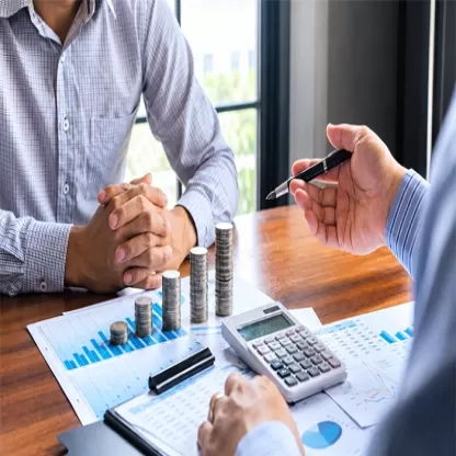 Why Small Businesses Need Professional Accounting Services